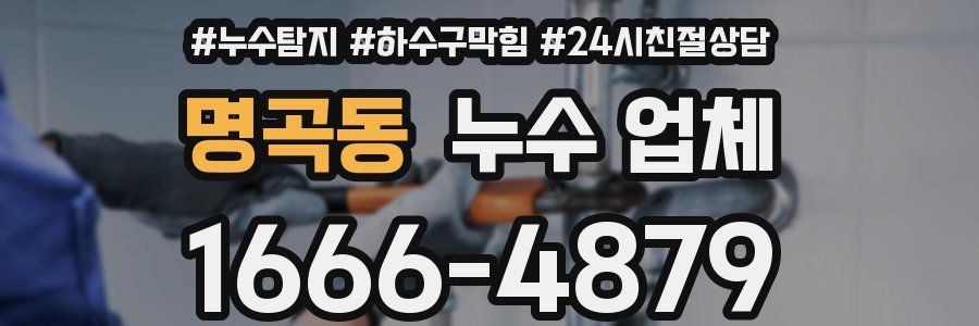 명곡동 누수 업체