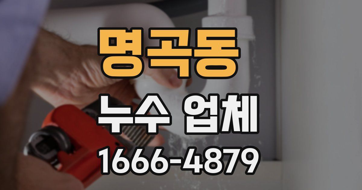 명곡동 누수 업체