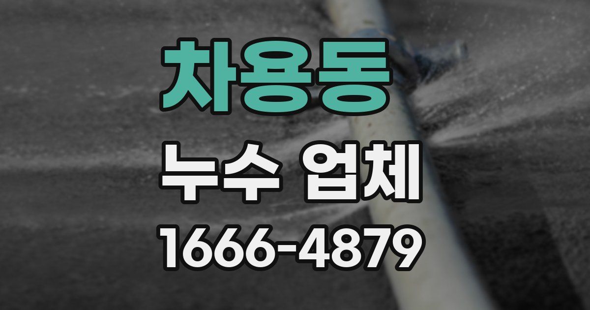 차용동 누수 업체