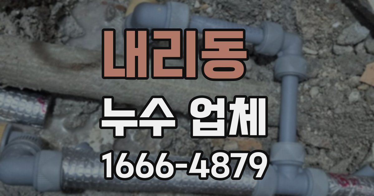 내리동 누수 업체