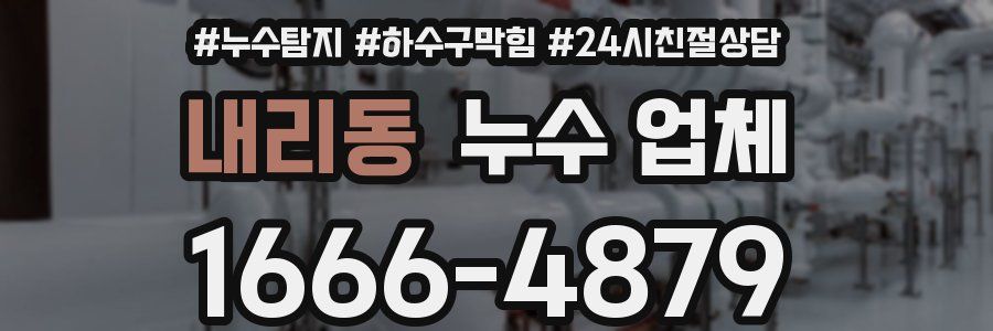 내리동 누수 업체