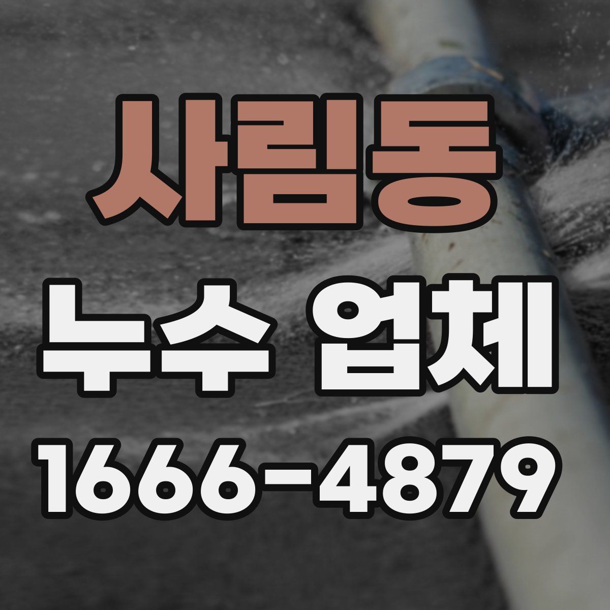 사림동 누수 업체