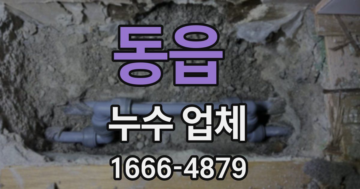 동읍 누수 업체
