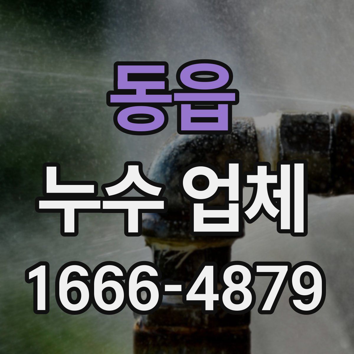 동읍 누수 업체