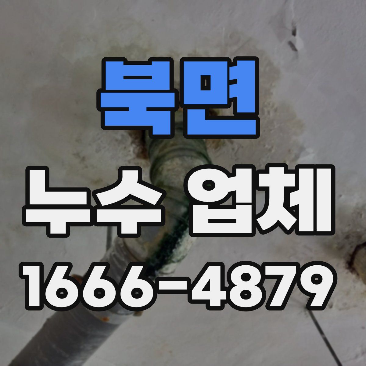 북면 누수 업체