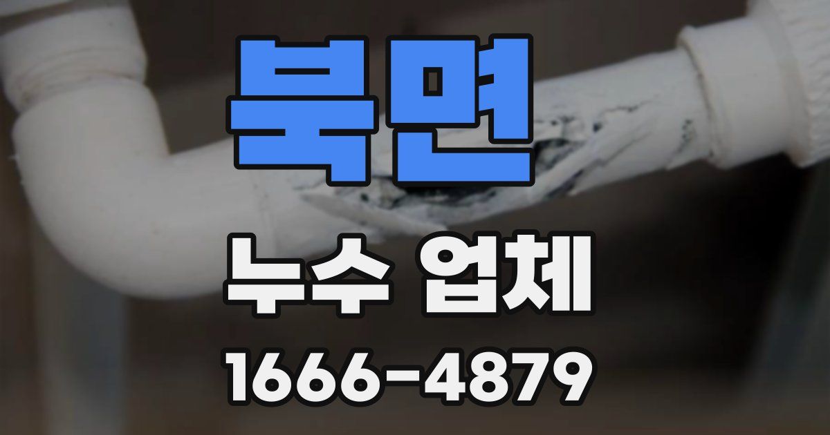 북면 누수 업체