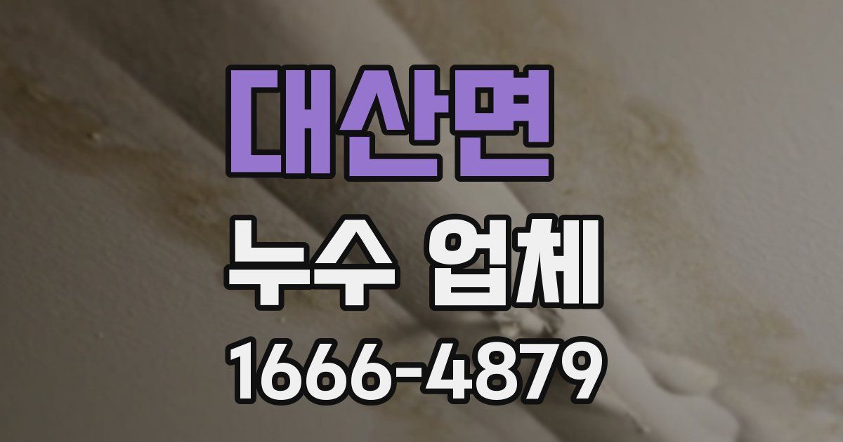 대산면 누수 업체