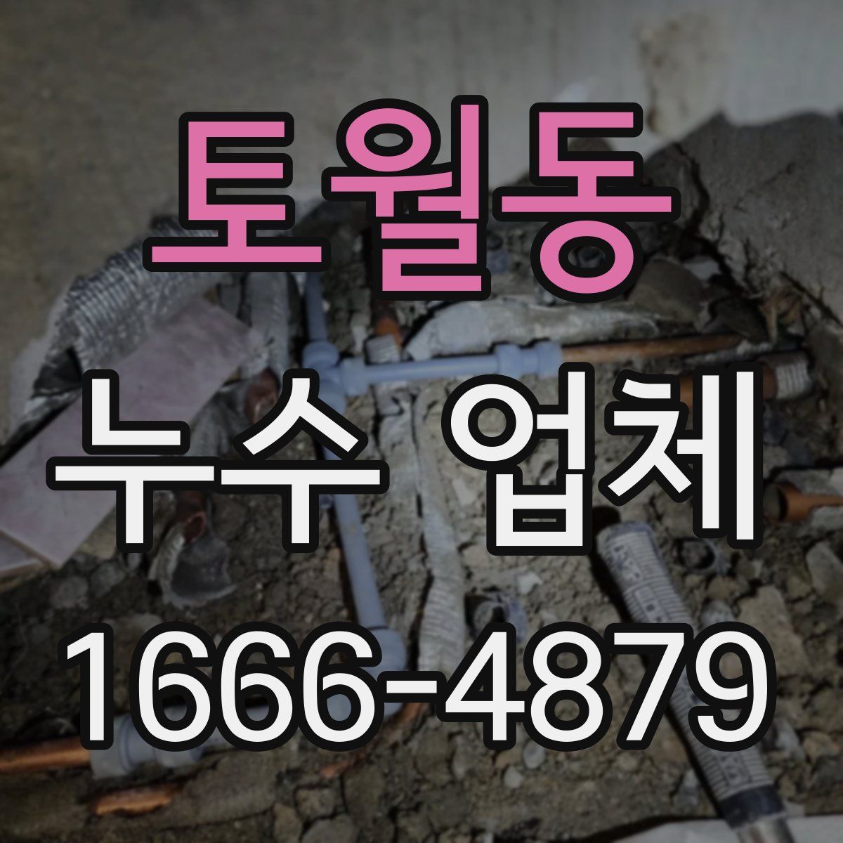 토월동 누수 업체