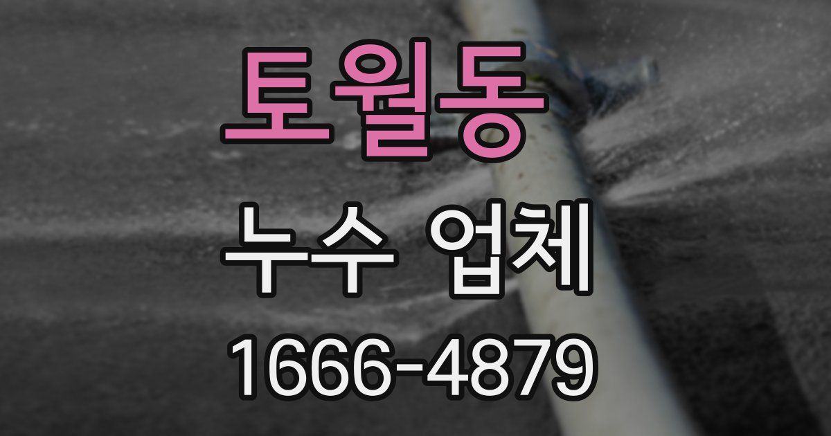 토월동 누수 업체