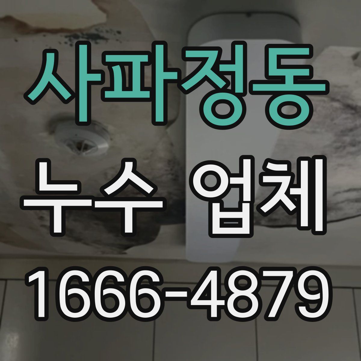 사파정동 누수 업체