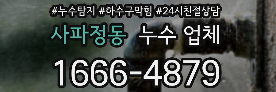 사파정동 누수 업체