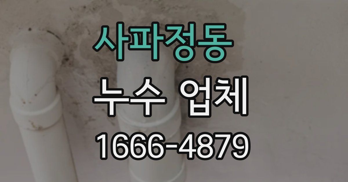 사파정동 누수 업체