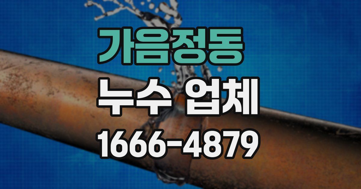 가음정동 누수 업체