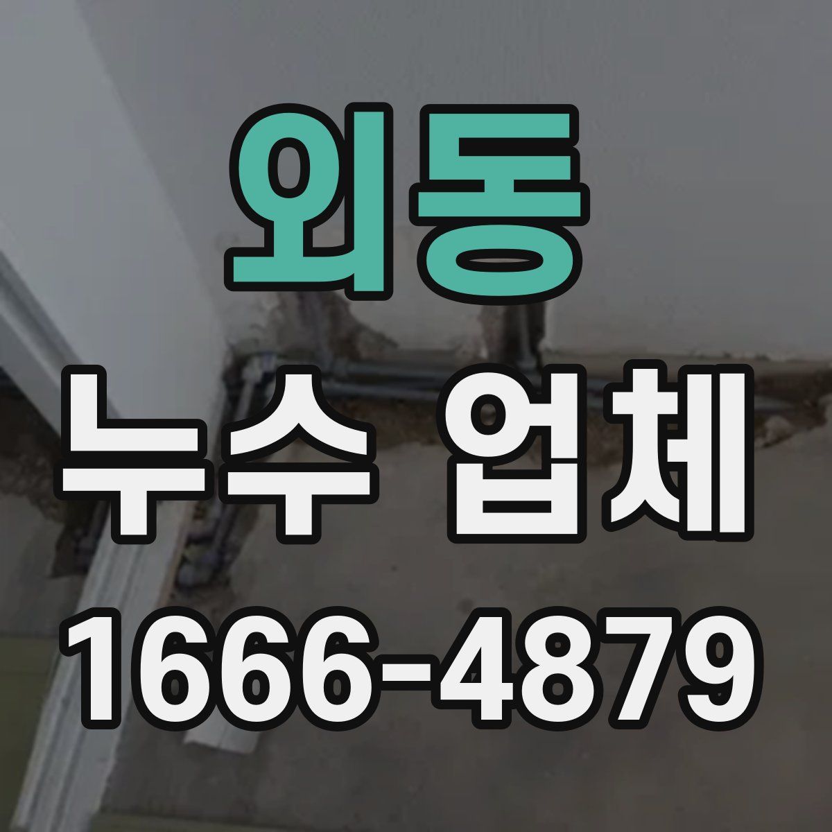외동 누수 업체