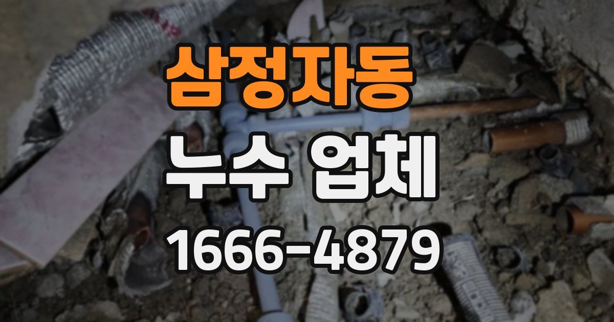 삼정자동 누수 업체