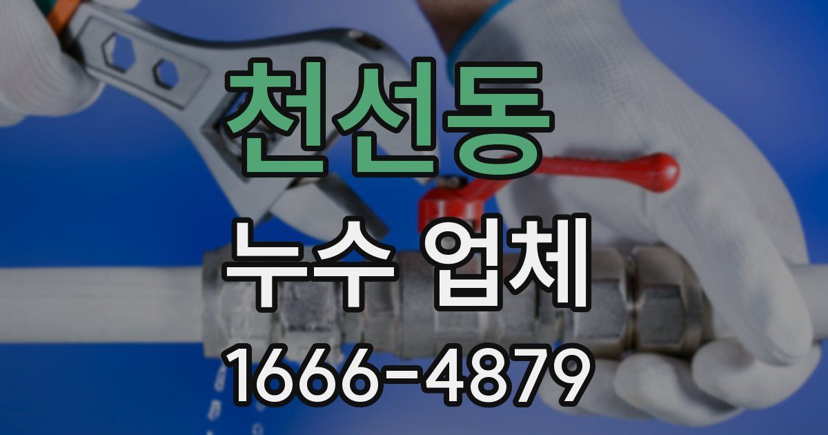 천선동 누수 업체