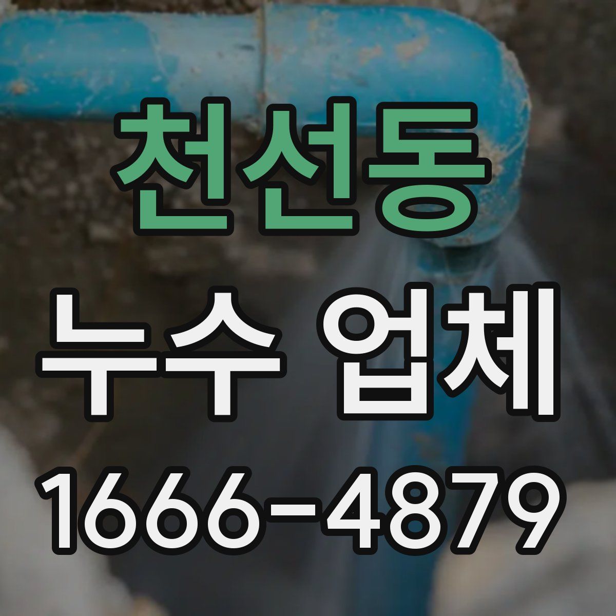 천선동 누수 업체