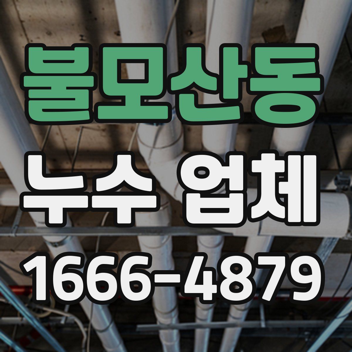 불모산동 누수 업체