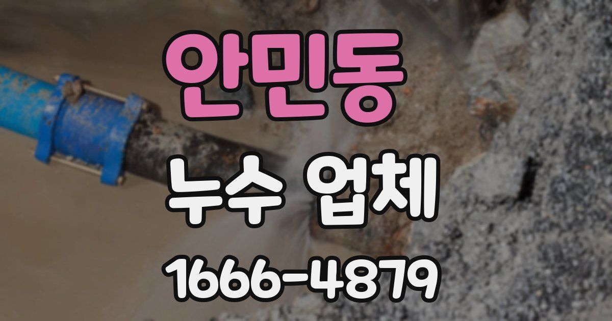 안민동 누수 업체