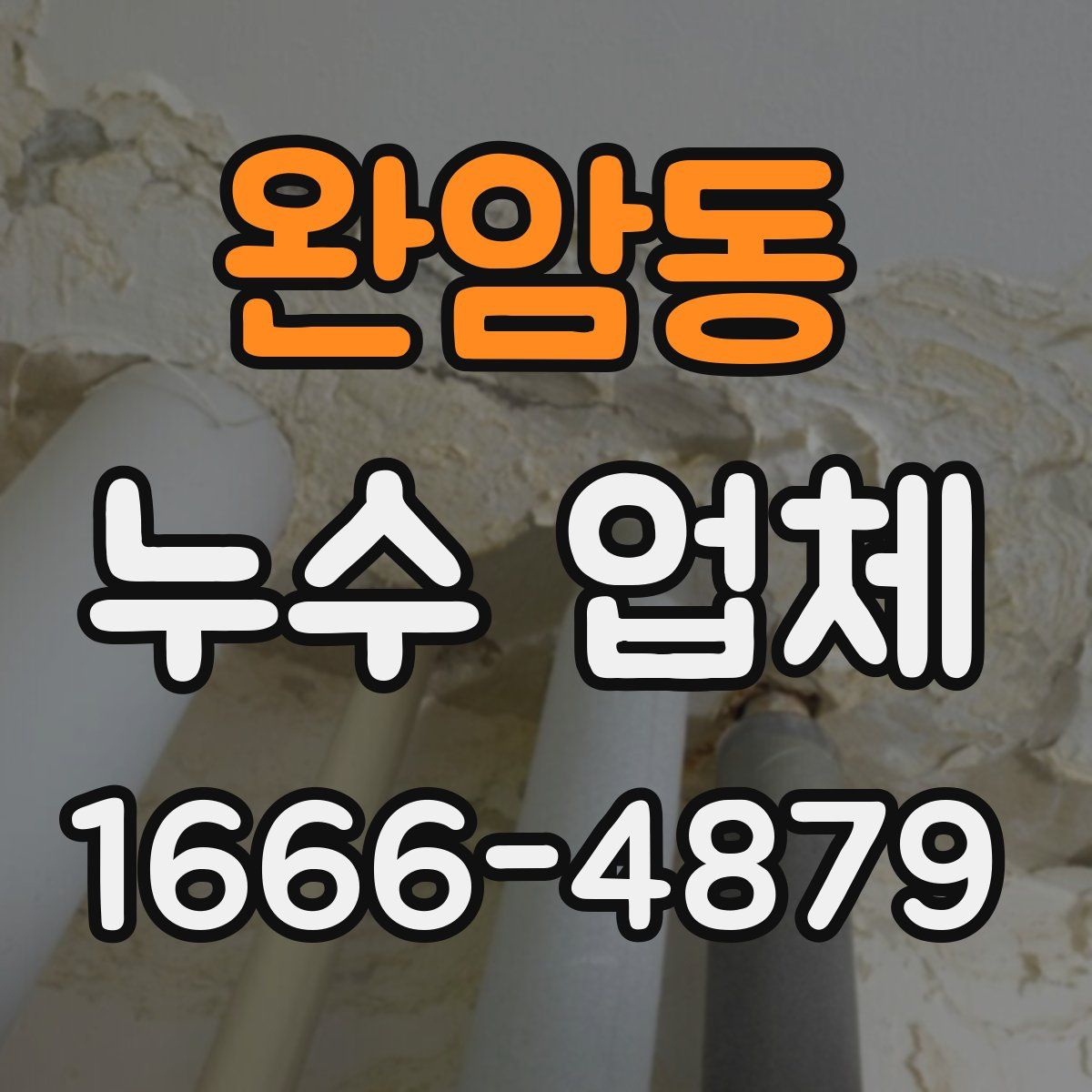 완암동 누수 업체