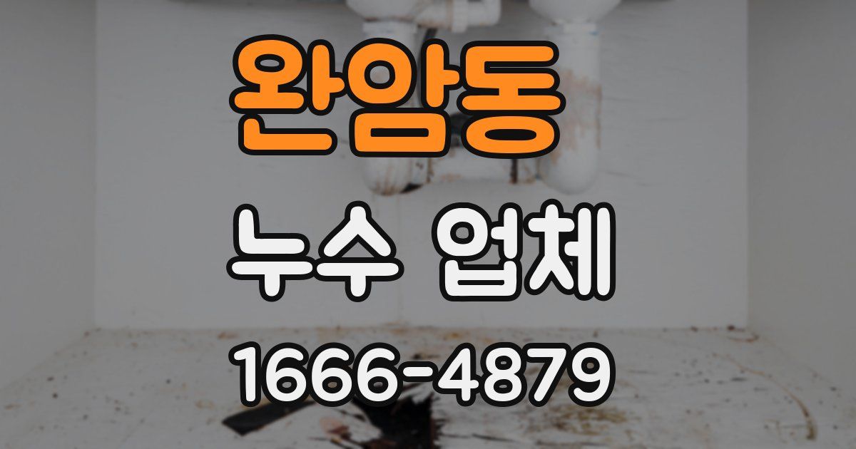 완암동 누수 업체