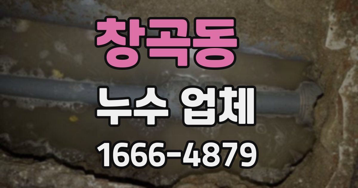 창곡동 누수 업체