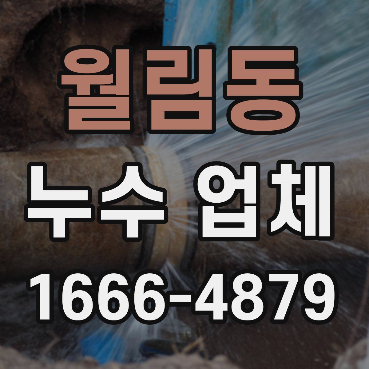월림동 누수 업체