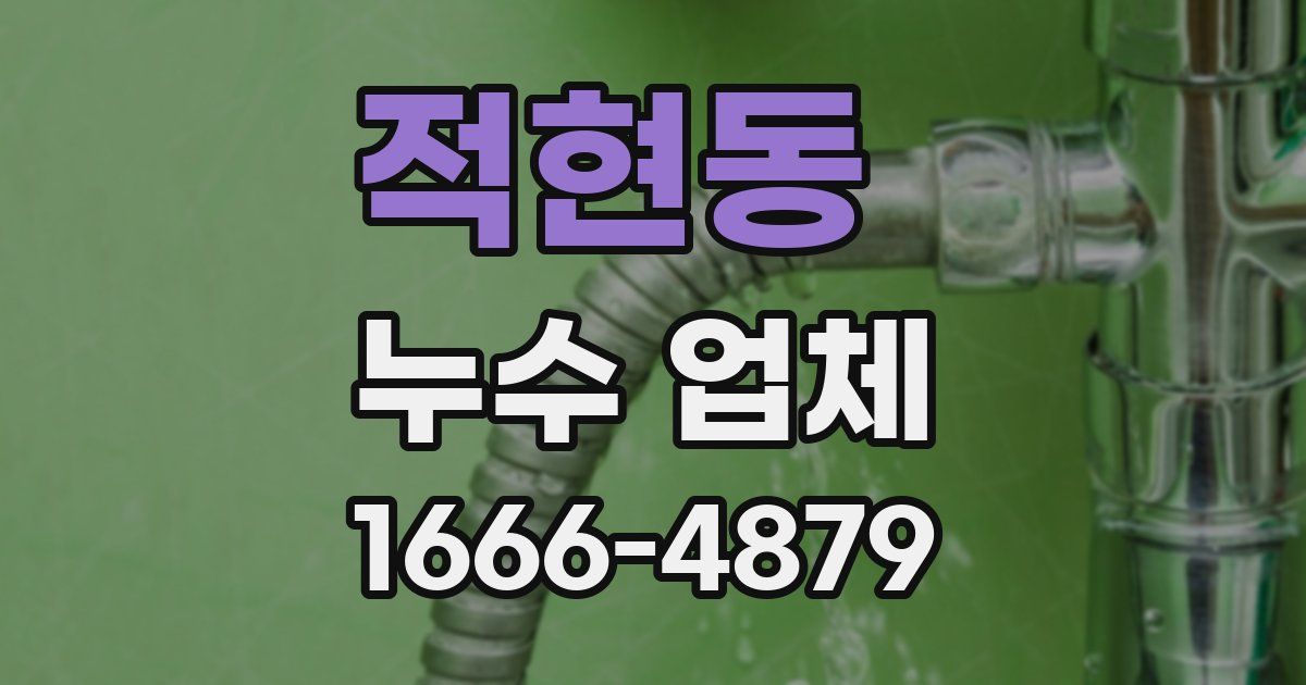 적현동 누수 업체