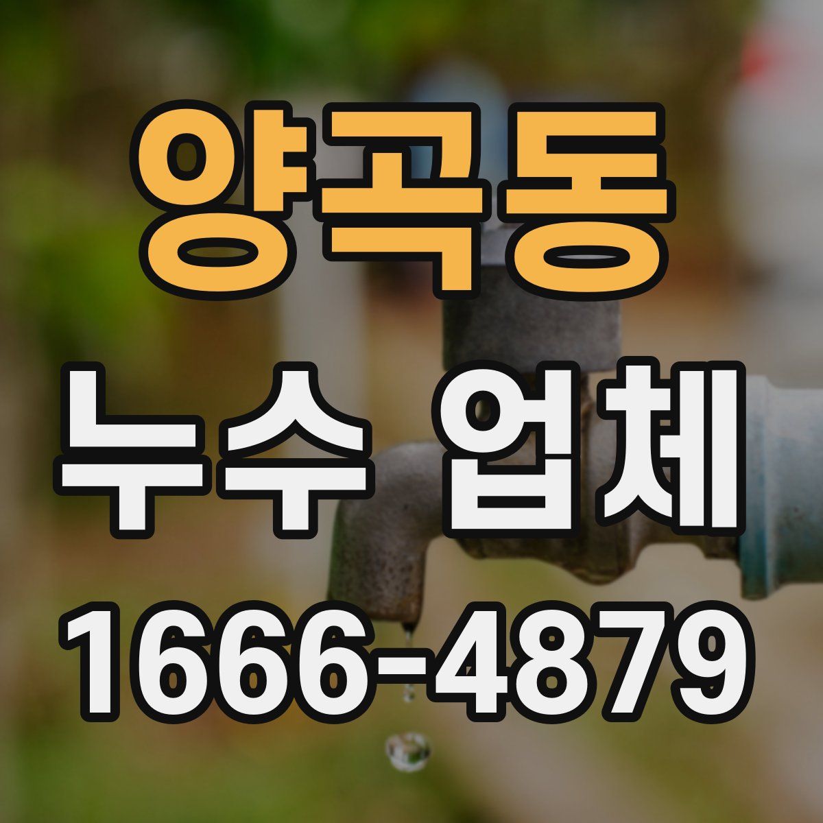 양곡동 누수 업체