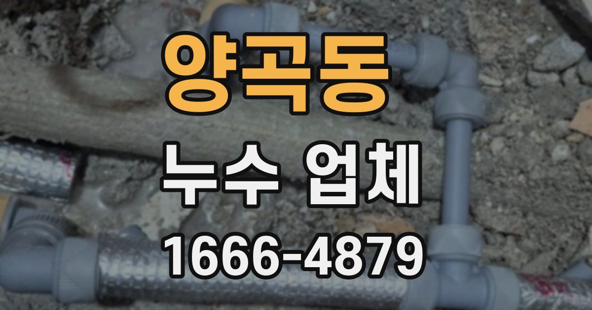 양곡동 누수 업체