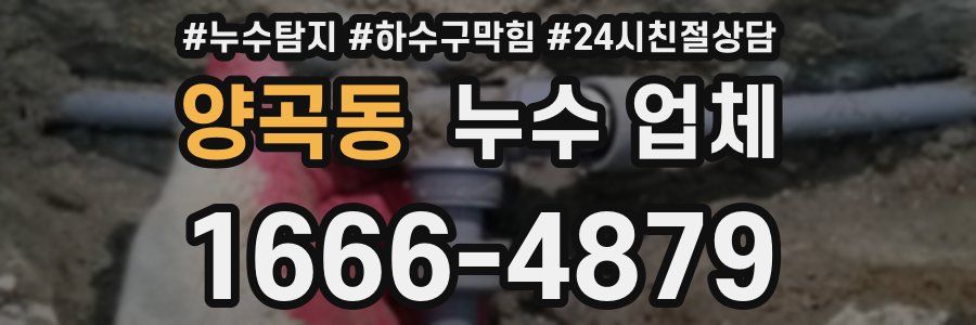 양곡동 누수 업체