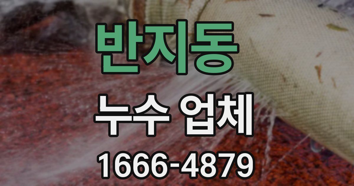 반지동 누수 업체