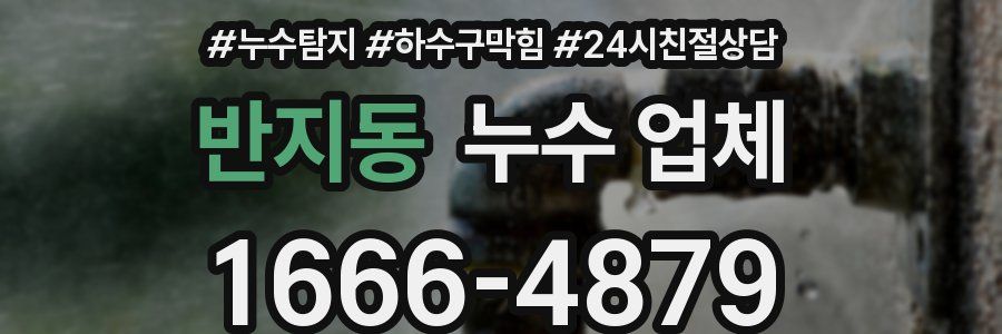 반지동 누수 업체