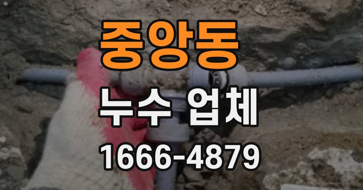 중앙동 누수 업체