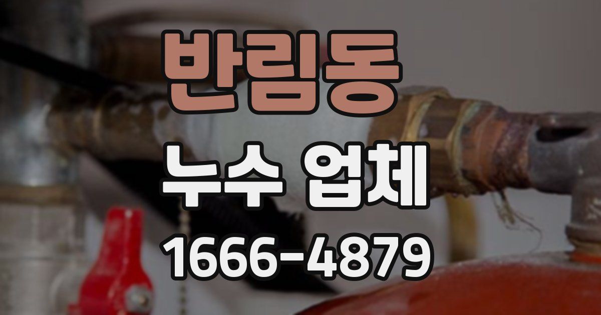 반림동 누수 업체