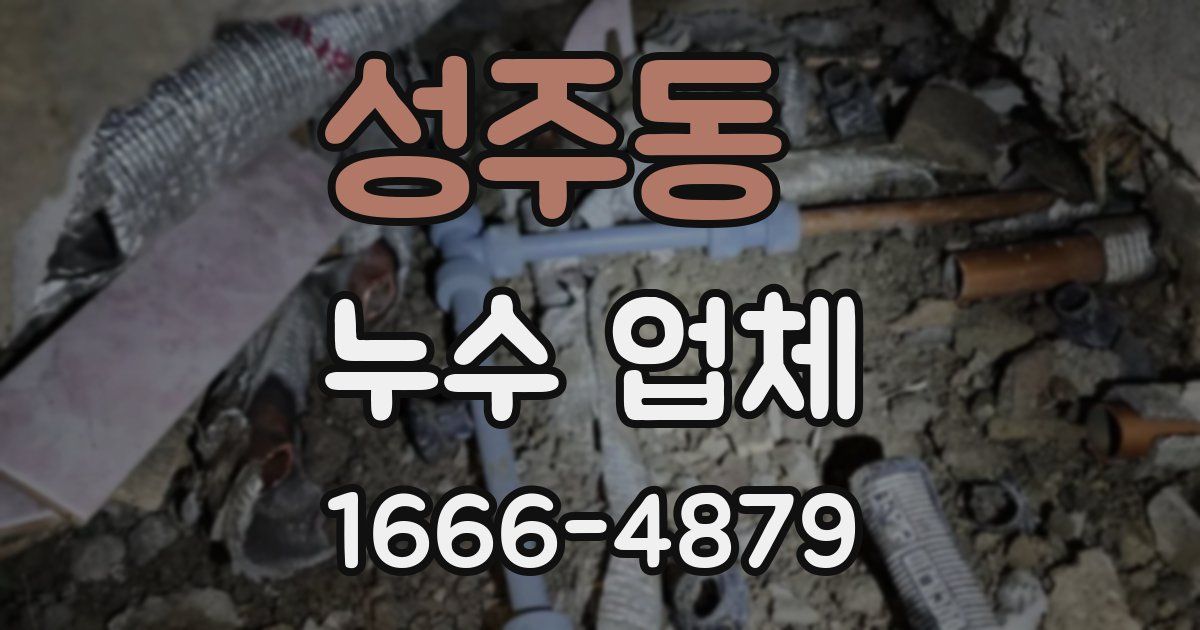 성주동 누수 업체