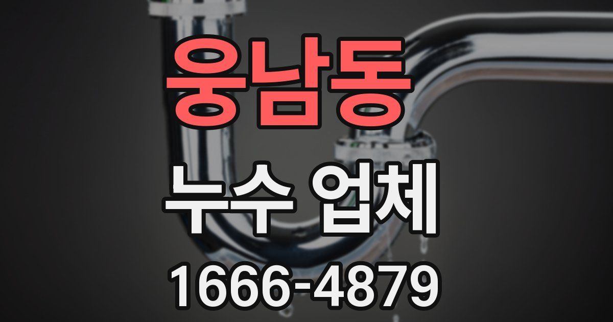 웅남동 누수 업체