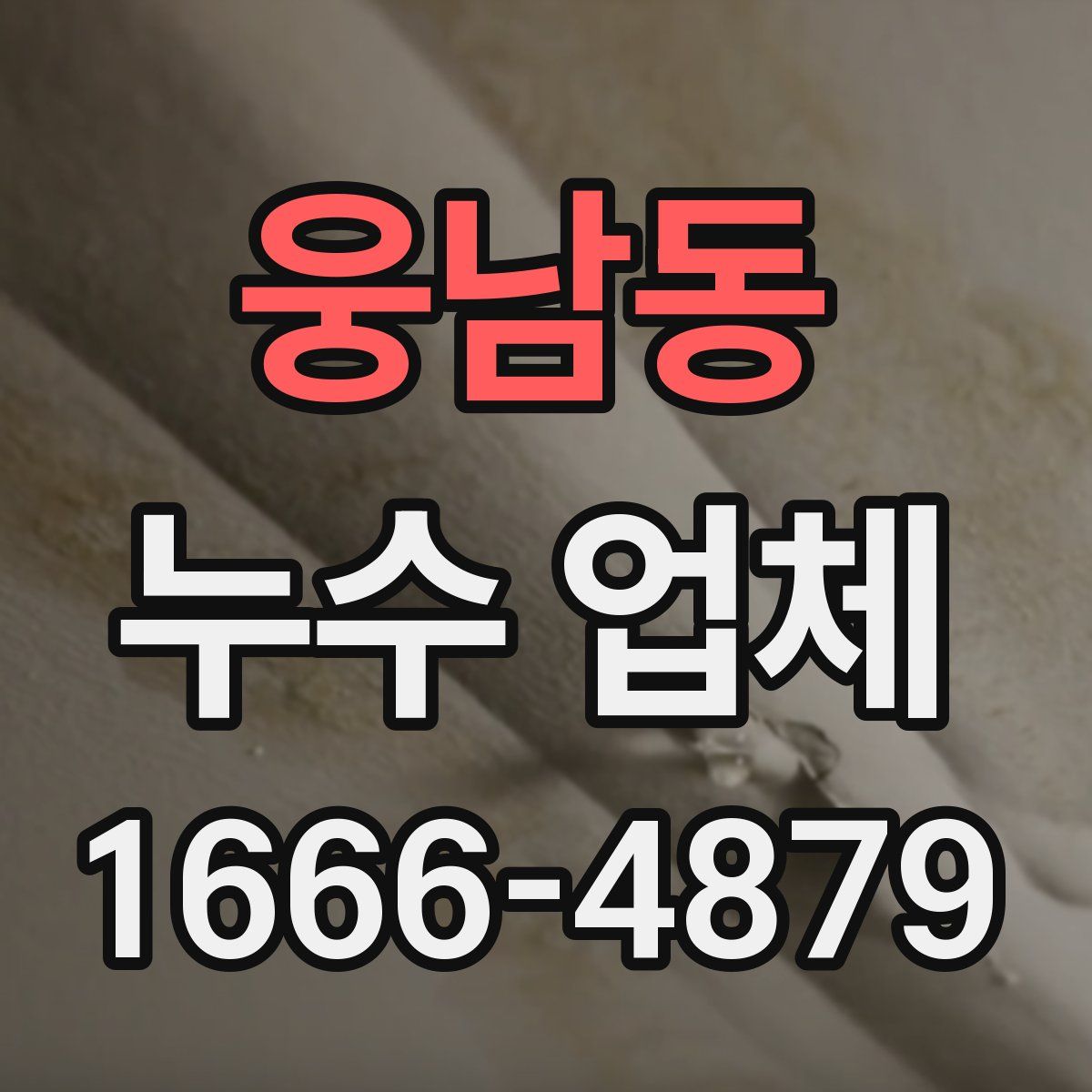 웅남동 누수 업체