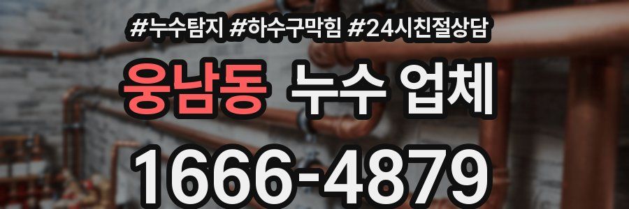 웅남동 누수 업체