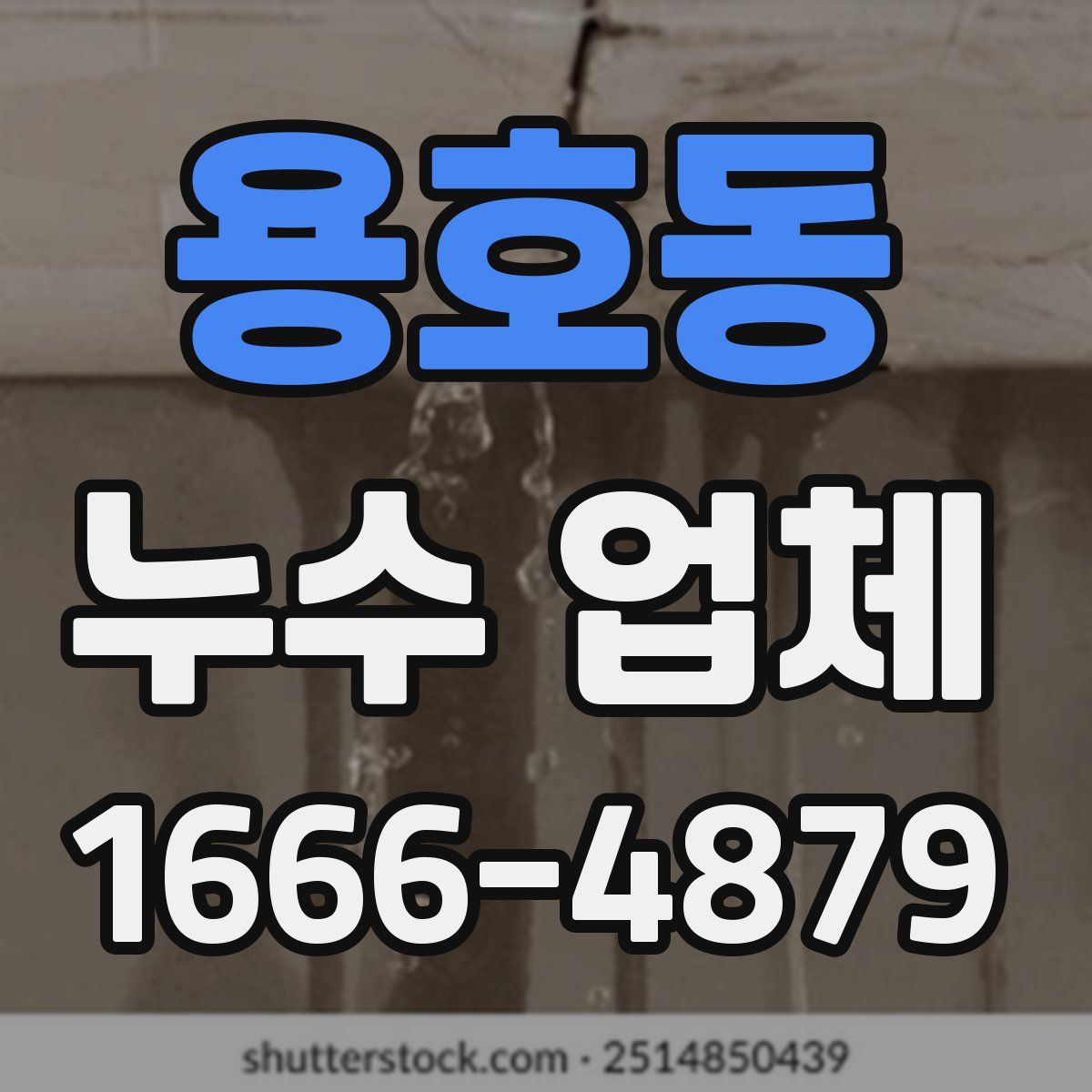 용호동 누수 업체