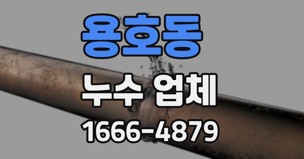 용호동 누수 업체