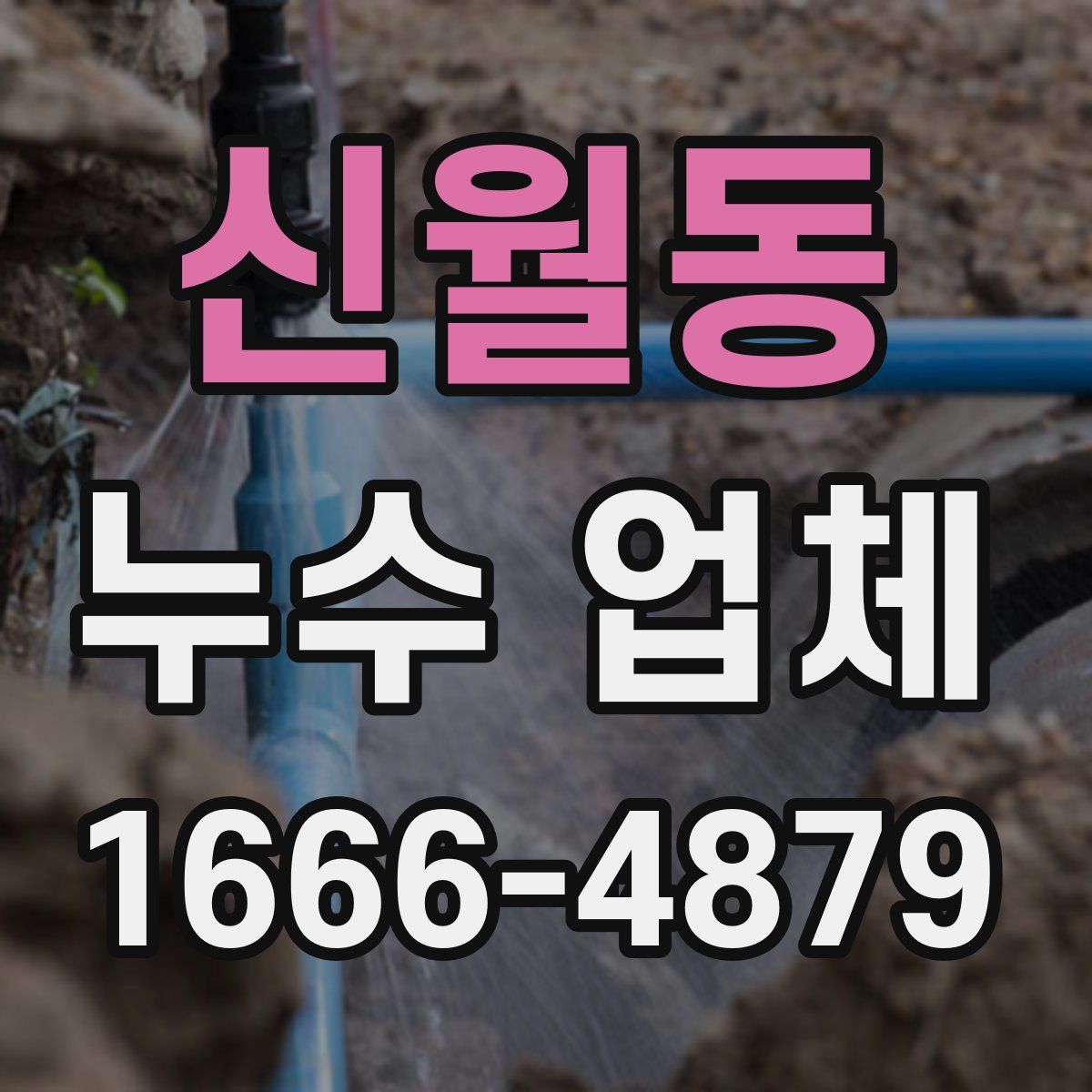 신월동 누수 업체