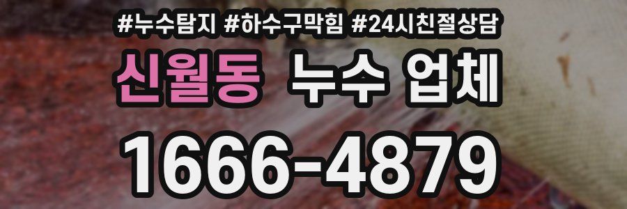 신월동 누수 업체