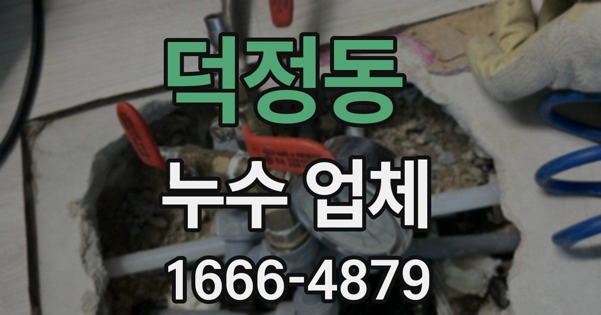 덕정동 누수 업체