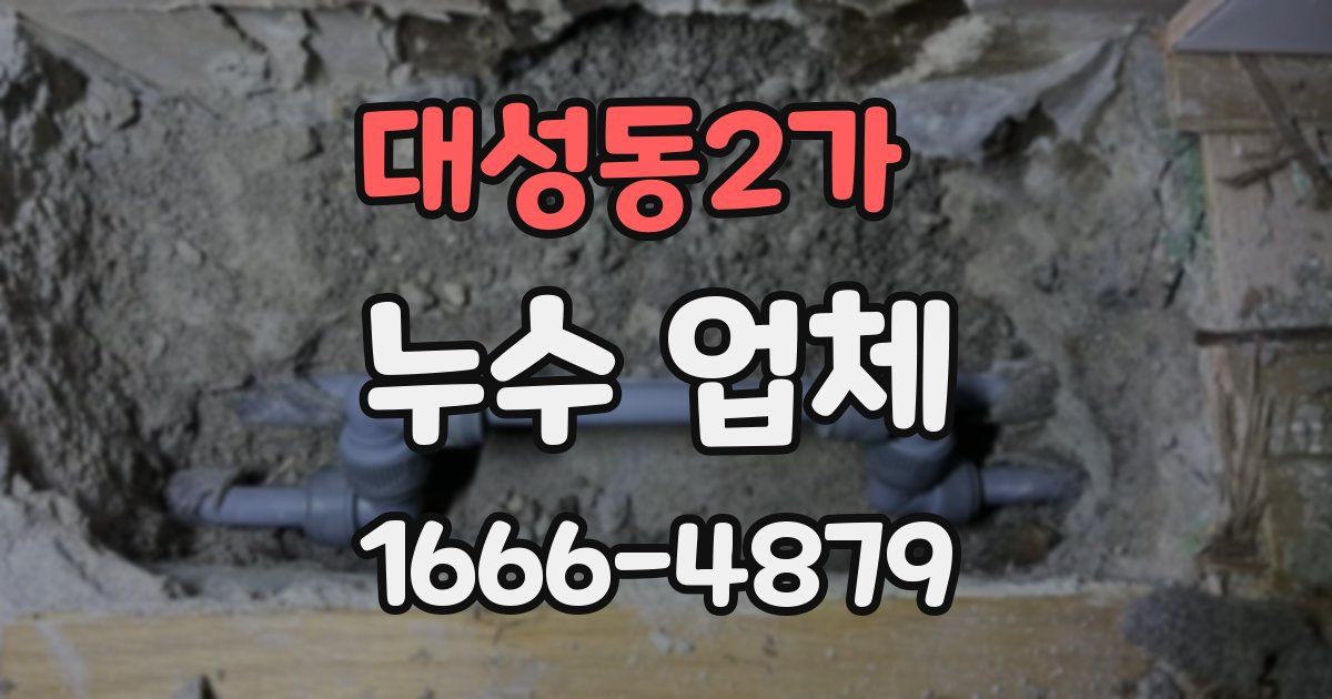 대성동2가 누수 업체