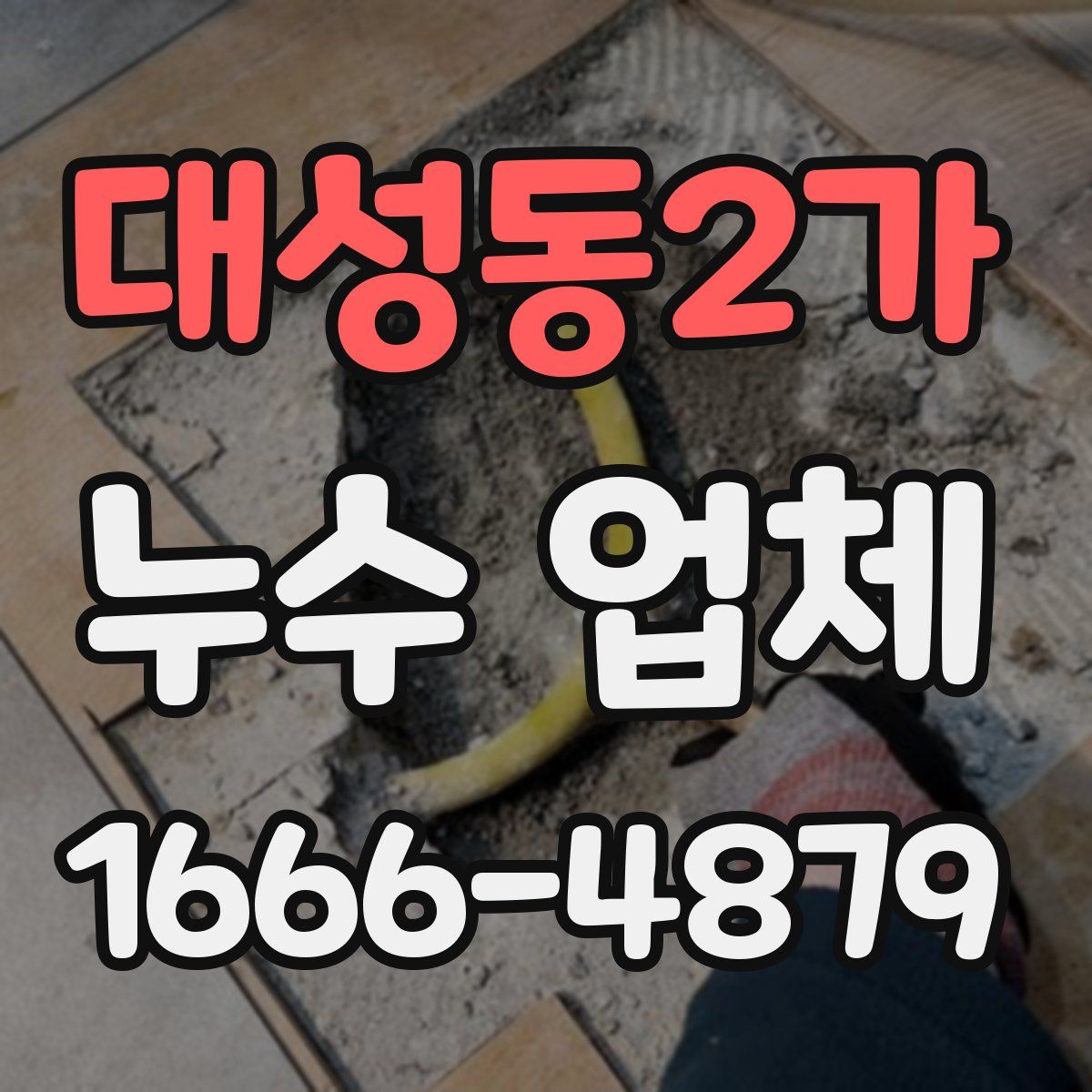 대성동2가 누수 업체