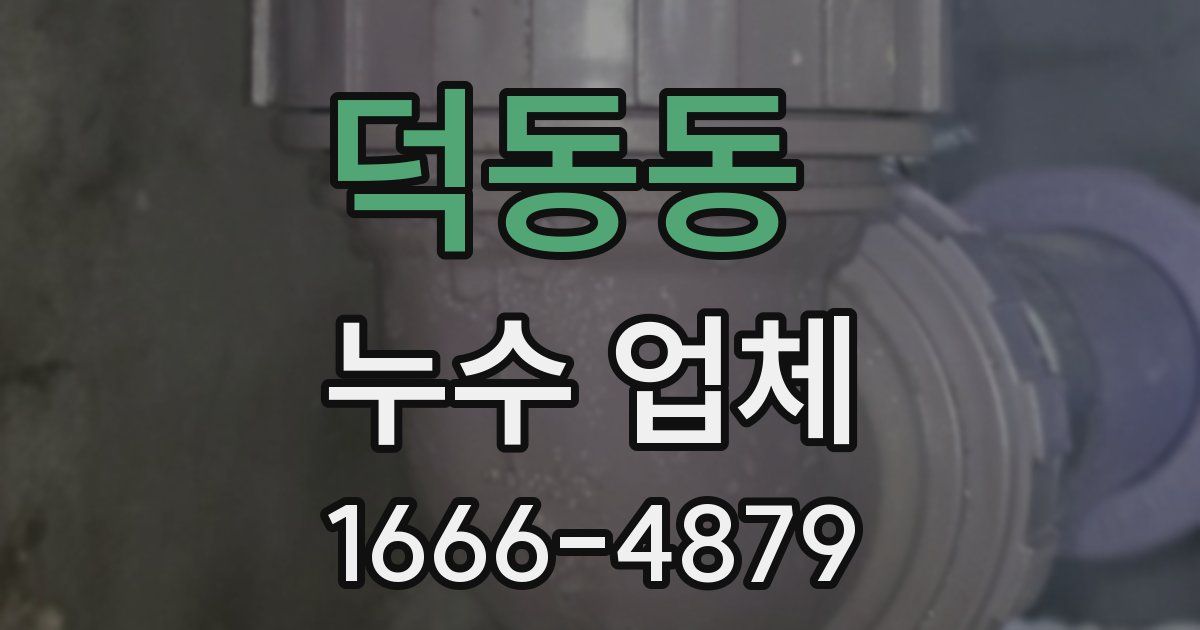 덕동동 누수 업체