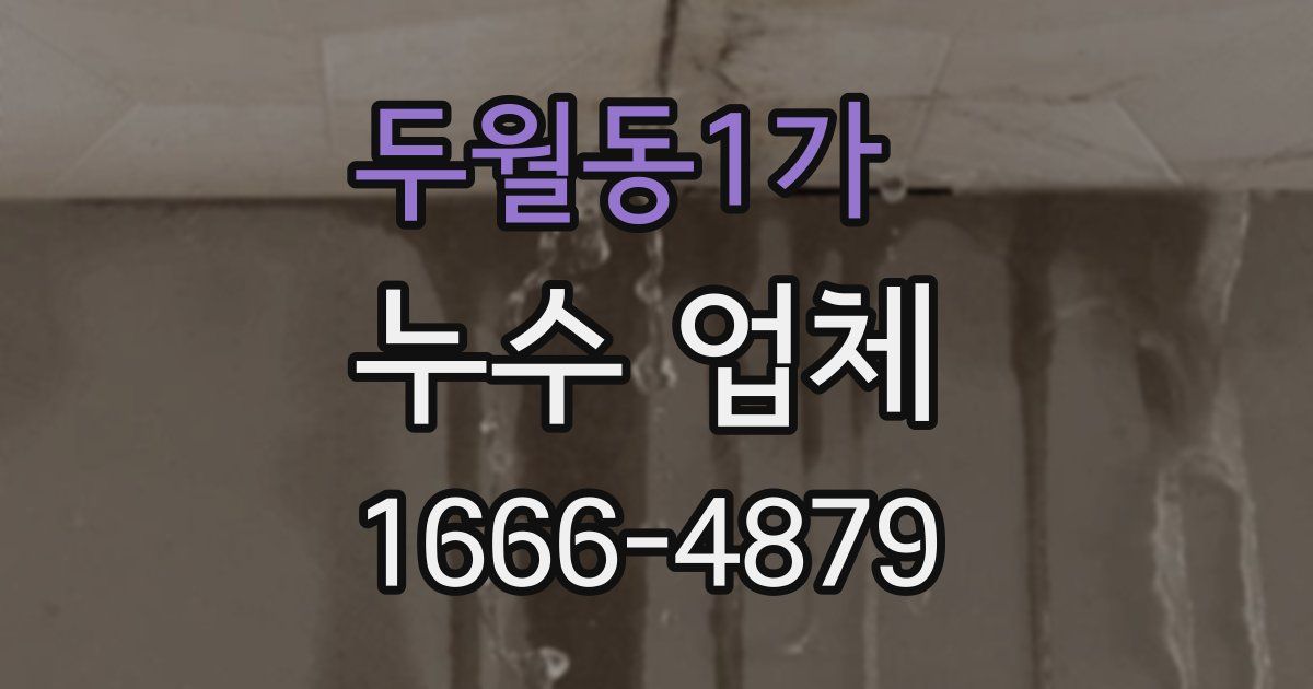 두월동1가 누수 업체