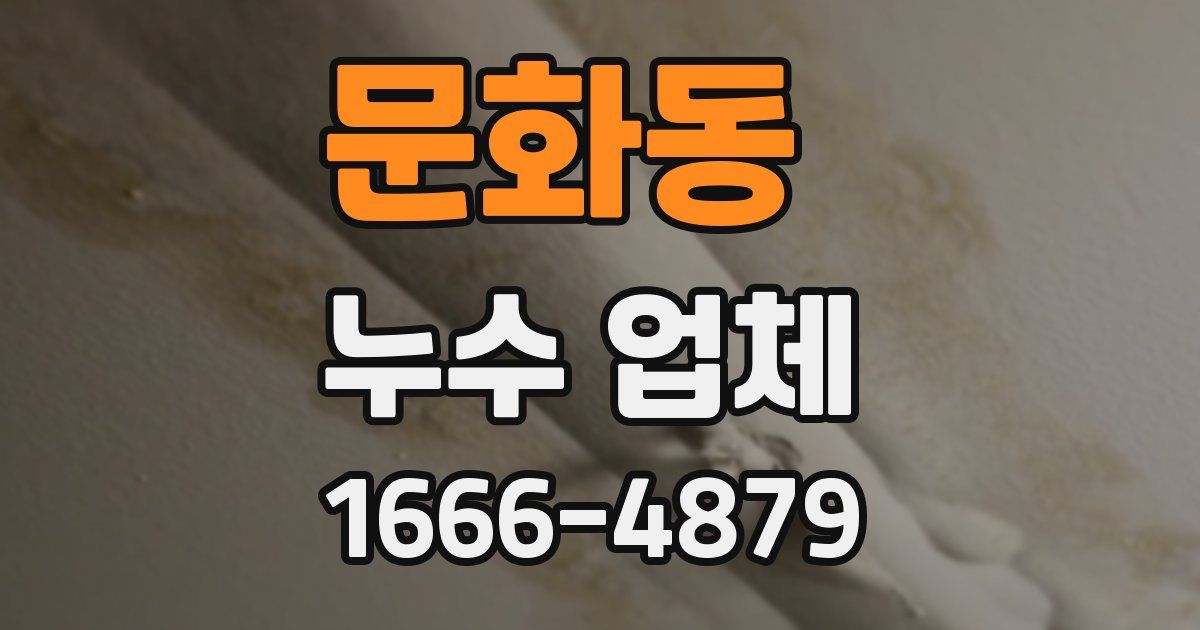 문화동 누수 업체