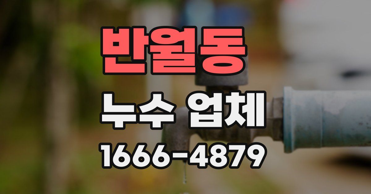 반월동 누수 업체